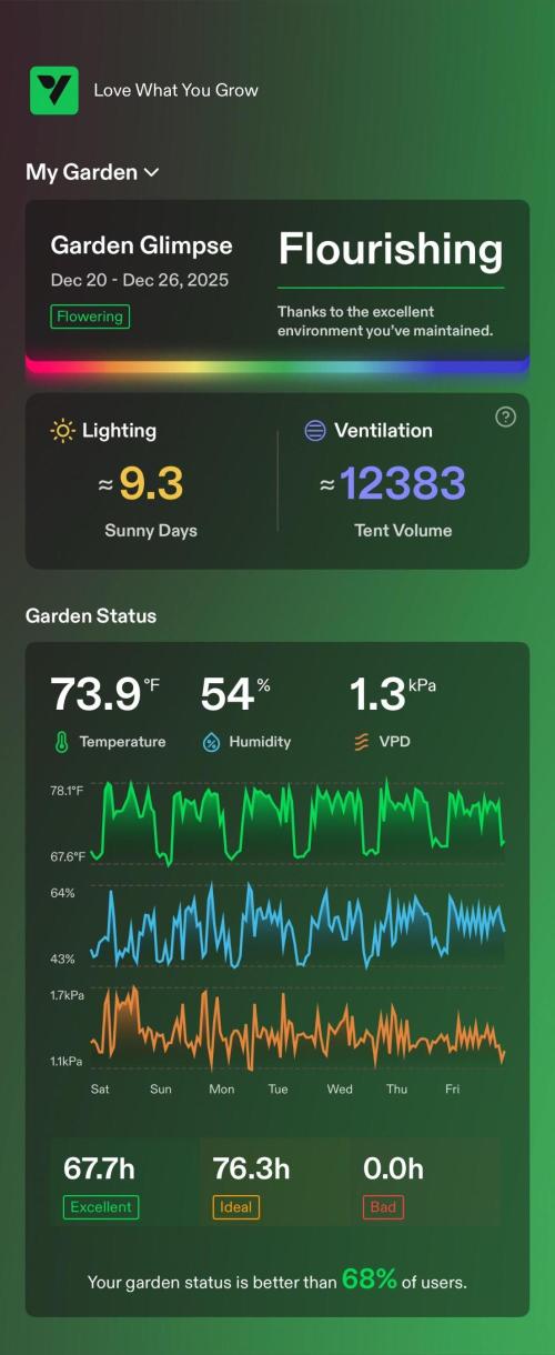 Tropical Popesicle. Week 7 - Day 49
Enviroment