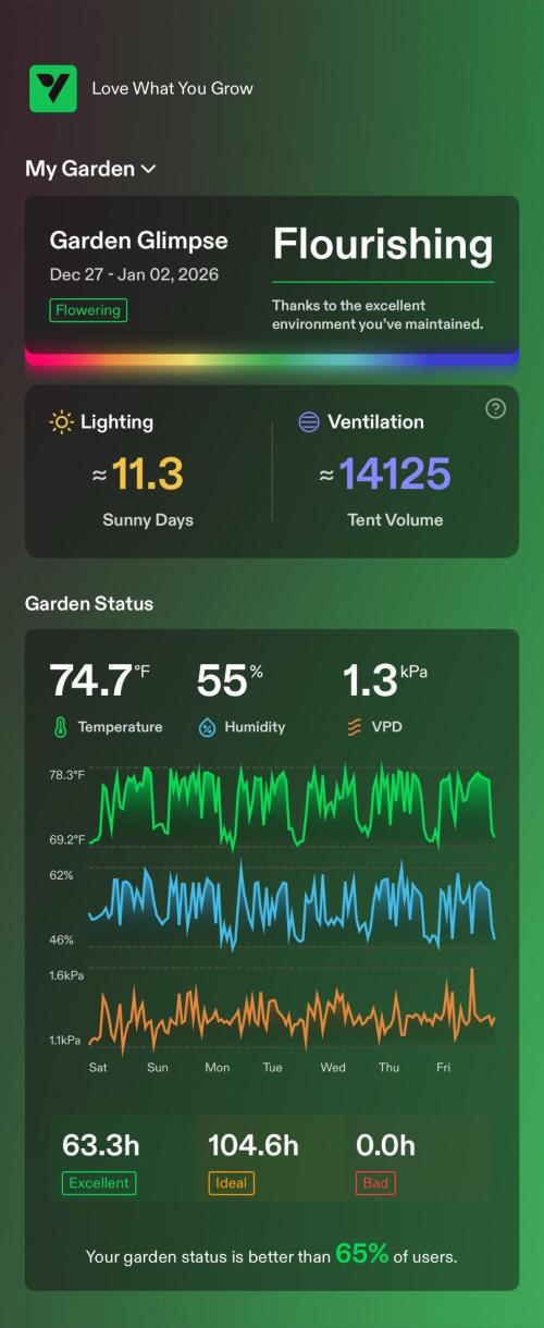 Tropical Popesicle. Week 8 - Day 56
Enviroment