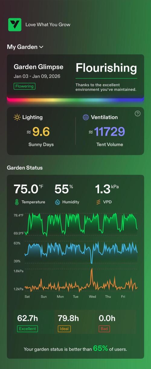 Tropical Popesicle. Week 9 - Day 63