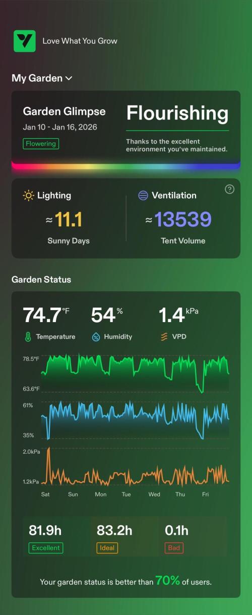 Tropical Popesicle. Week 10