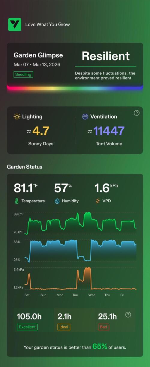 Sugar High Grow 2. Week 1 - Enviroment