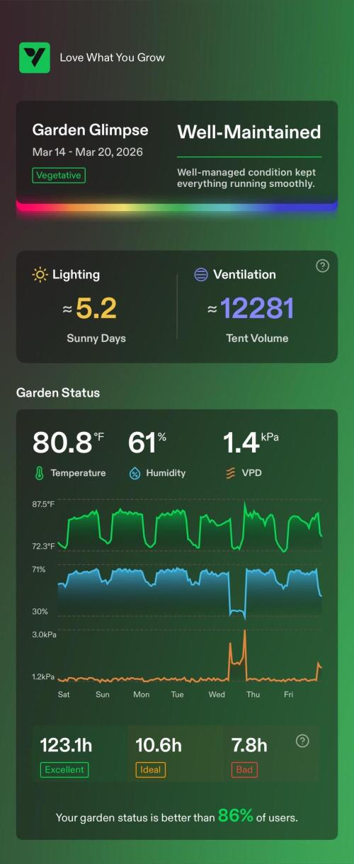 Sugar High Grow 2. Week 2 - Enviroment