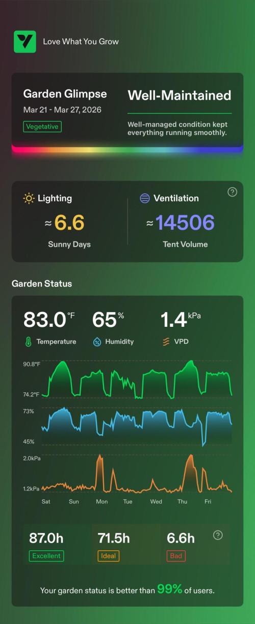 Sugar High Grow 2. Week 3 - enviroment