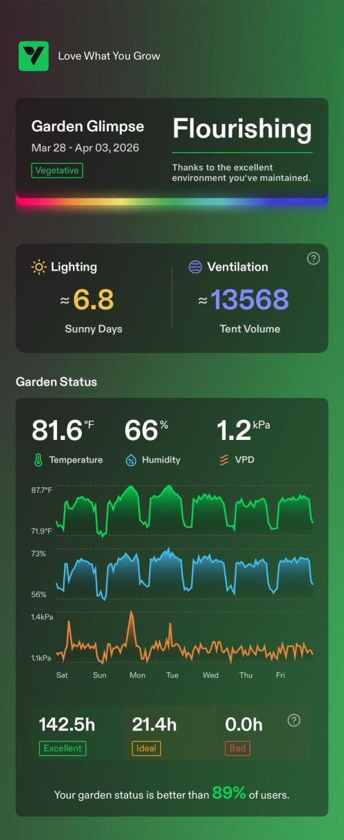Sugar High Grow 2. Week 4 - enviroment