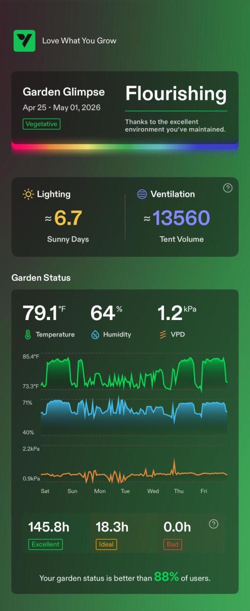 Sugar High Grow 2. Week 8 - enviroment