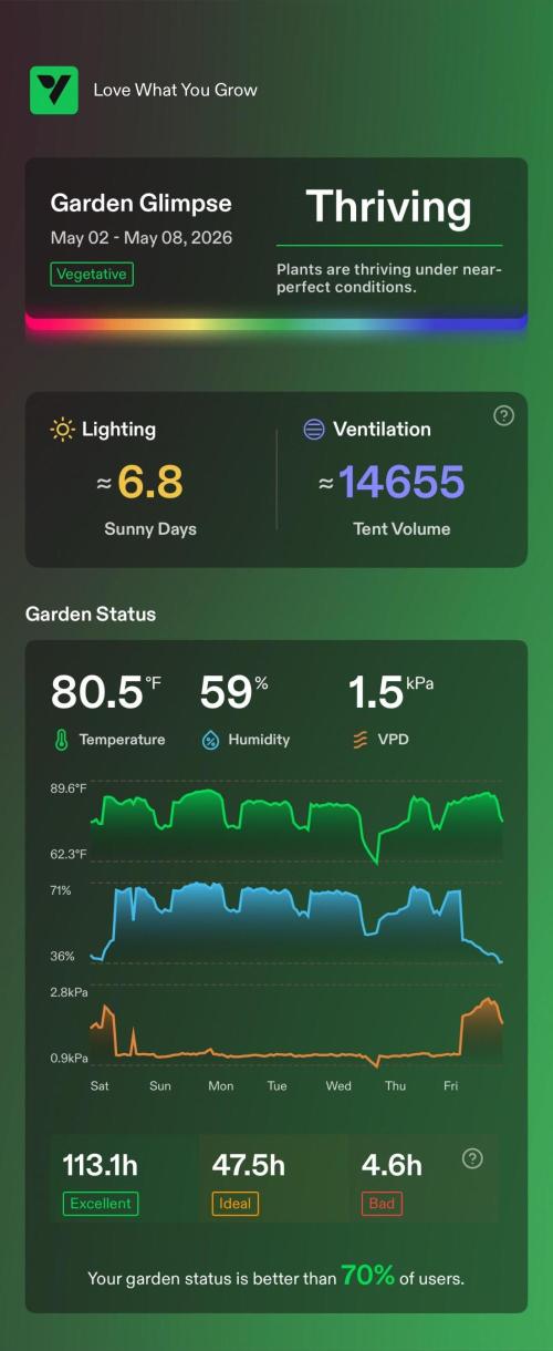 Sugar High Grow 2. Week 9 - enviroment