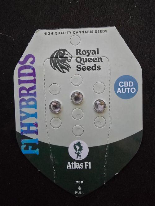 RQS Atlas F1 & Epsilon F1. Week 0