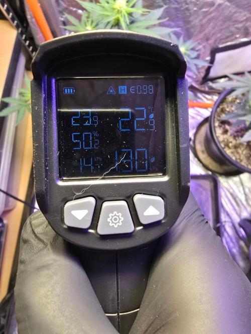 RQS Atlas F1 & Epsilon F1. Week 5