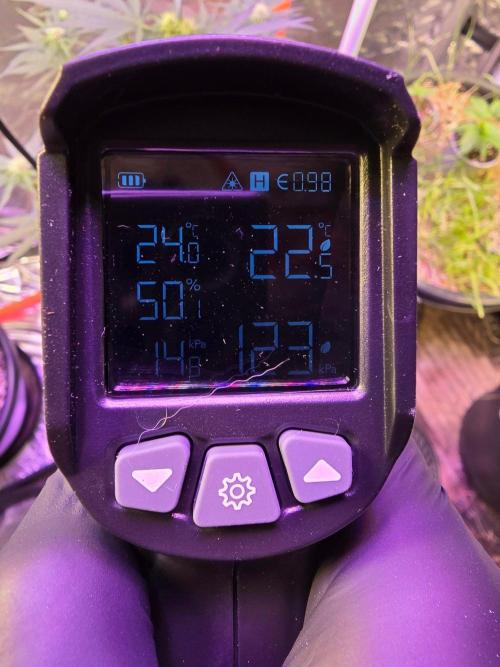 RQS Atlas F1 & Epsilon F1. Week 5