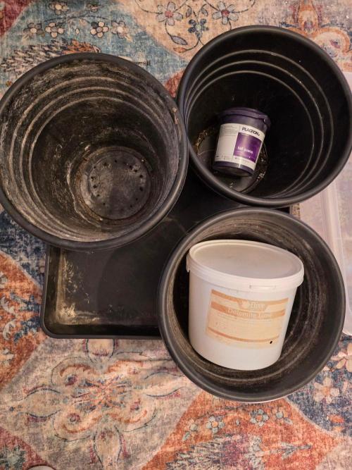 Gaia F1 Auto. Week 1 - Pots, bat guano and dolomite lime