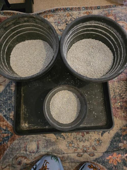 Atlas F1. Week 1 - 50% of my mix is perlite