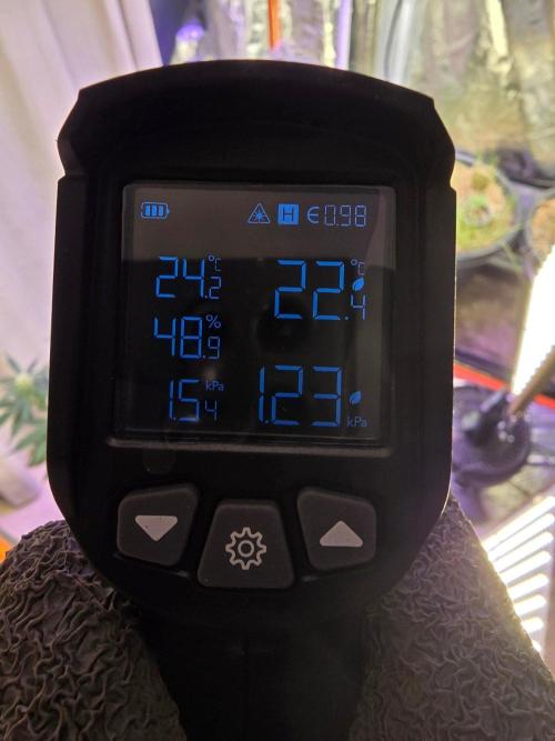 RQS Atlas F1 & Epsilon F1. Week 6