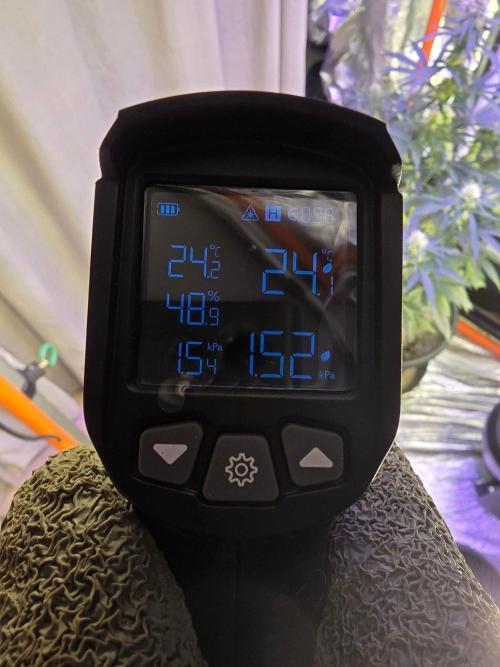 RQS Atlas F1 & Epsilon F1. Week 6