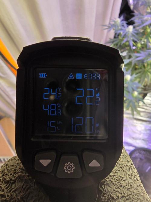 RQS Atlas F1 & Epsilon F1. Week 6