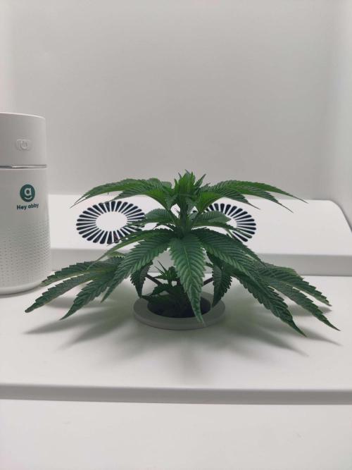 Vivian. Week 2 - Day 2