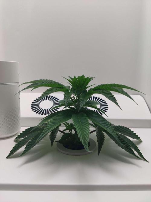 Vivian. Week 2 - Day 3