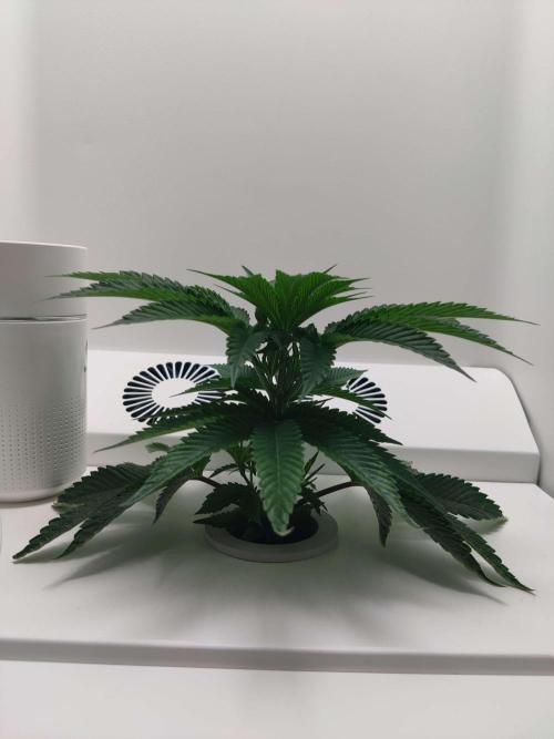 Vivian. Week 2 - Day 4