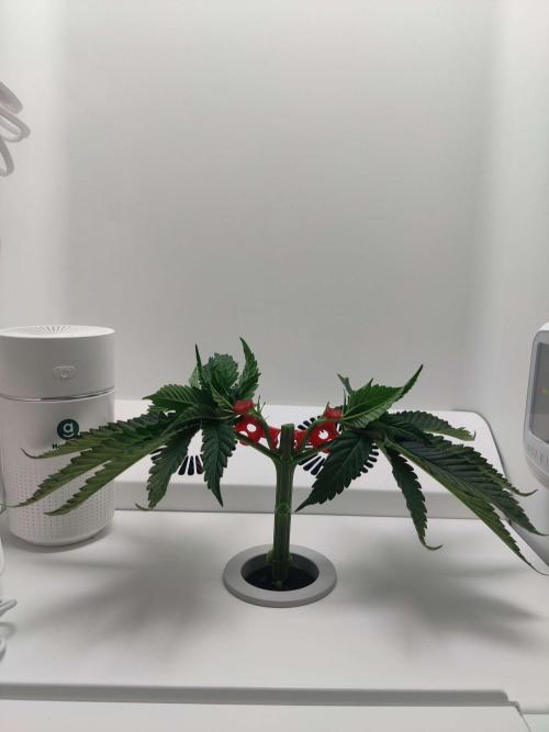 Vivian. Week 3 - Day 1