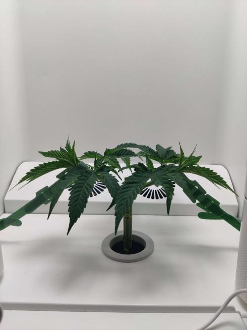 Vivian. Week 3 - Day 4