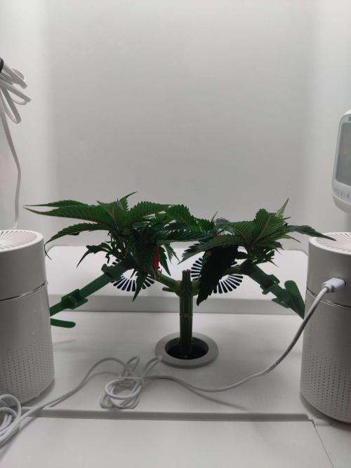 Vivian. Week 4 - Day 4