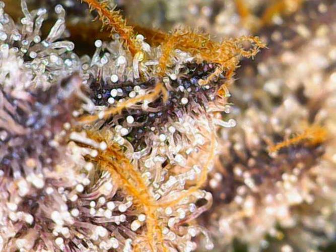 Valentina. Week 17 - Day 2