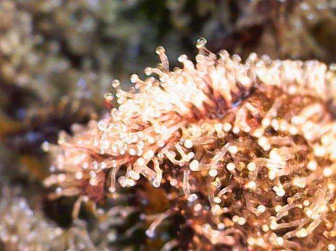 Valentina. Week 17 - Day 4