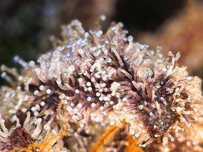 Valentina. Week 17 - Day 4