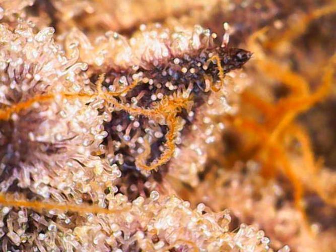 Valentina. Week 17 - Day 5