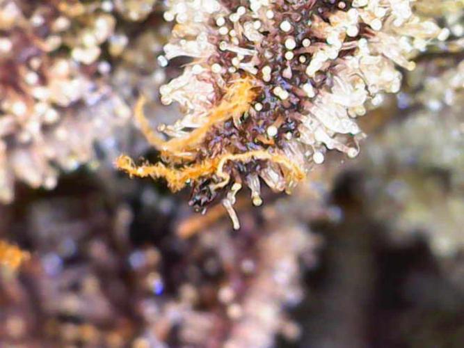 Valentina. Week 17 - Day 6