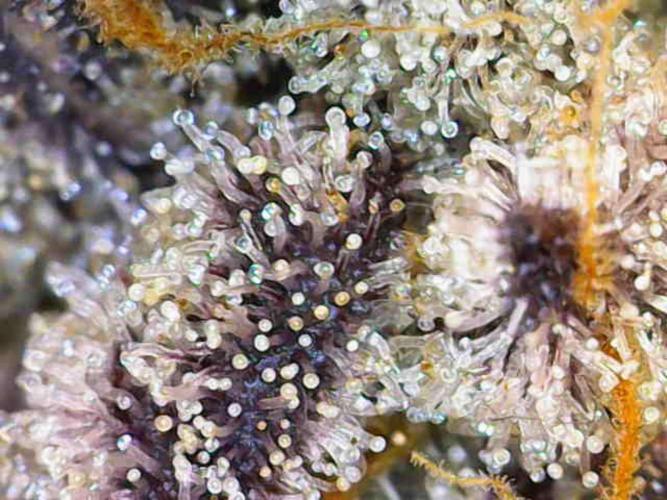 Valentina. Week 17 - Day 6