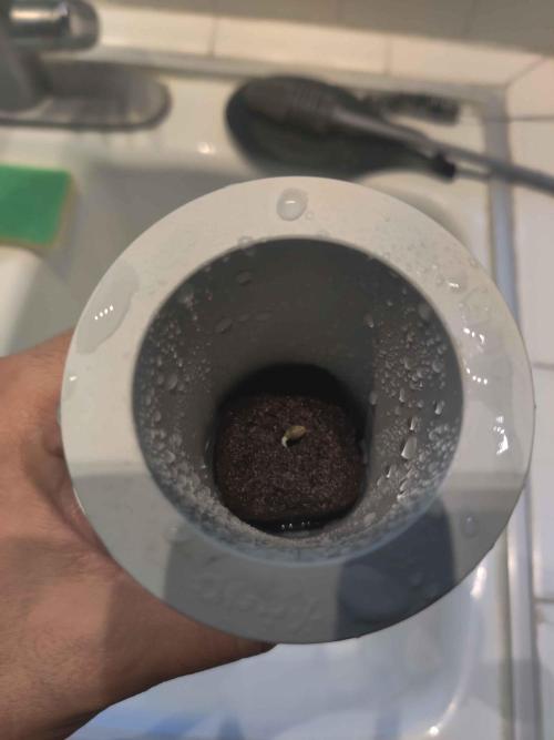 Helena. Week 0 - Day 1