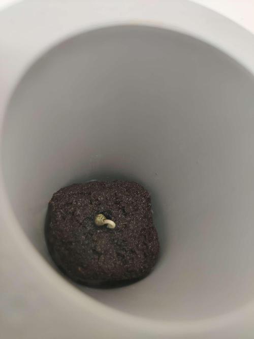 Helena. Week 0 - Day 2