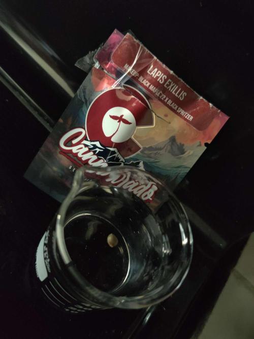 Misty. Week 0 - Day 1