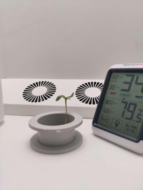 Misty. Week 0 - Day 9