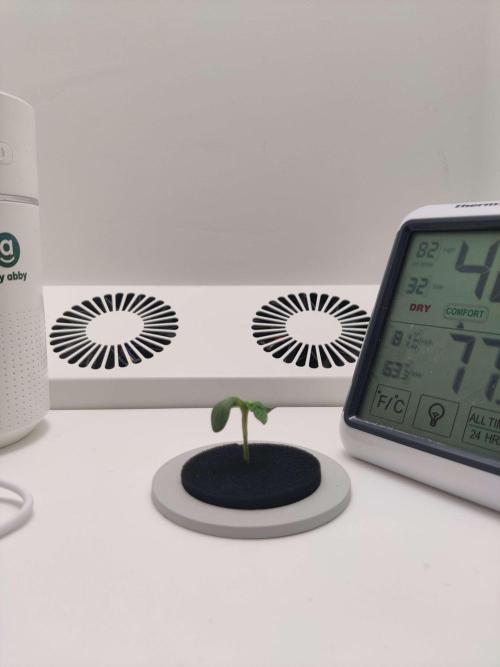 Misty. Week 1 - Day 2