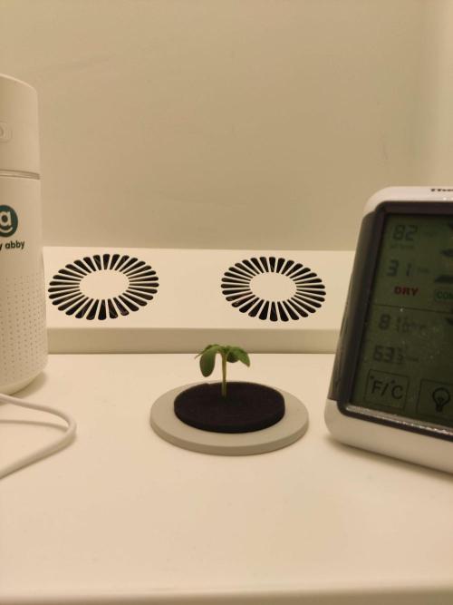 Misty. Week 1 - Day 3