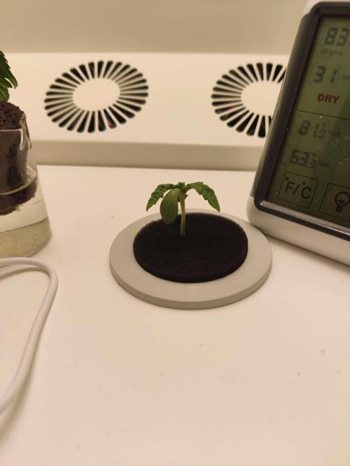 Misty. Week 1 - Day 4