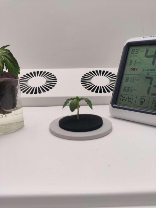 Misty. Week 1 - Day 5