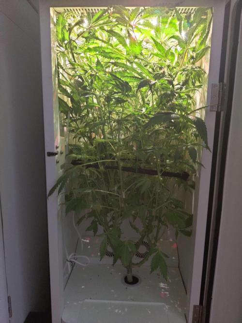 Helena. Week 12 - Day 1