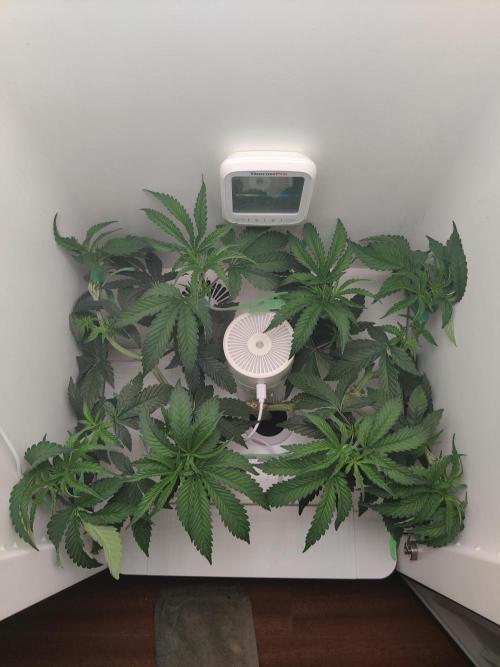Zarina. Week 7 - Day 1