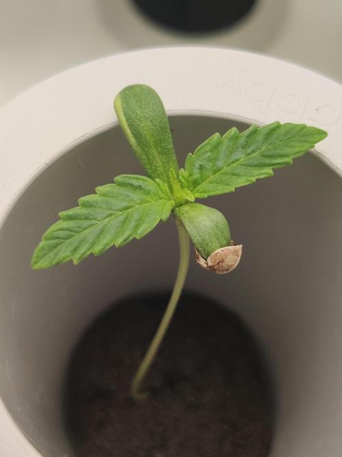 301h. Week 0