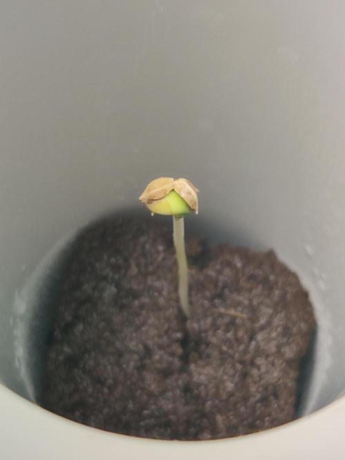 301h. Week 0