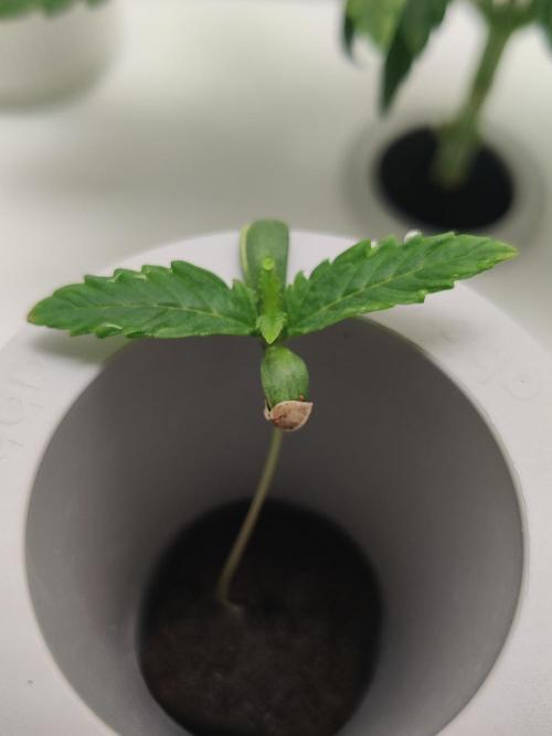 301h. Week 0