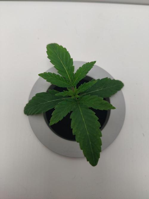 301h. Week 1