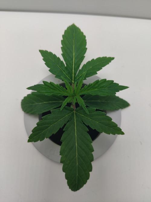 301h. Week 1