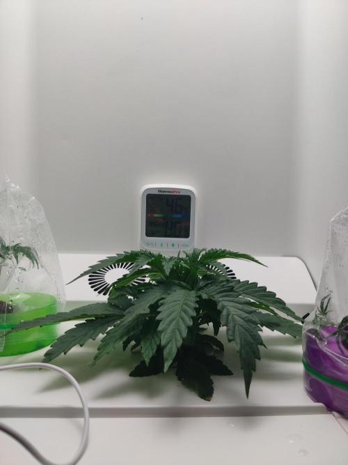 301h. Week 2