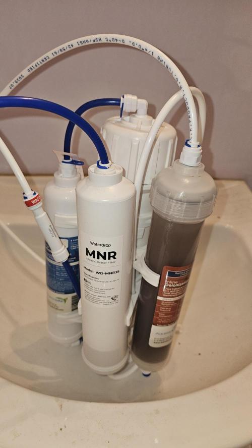 Blueberry Muffin 2026. Week 4