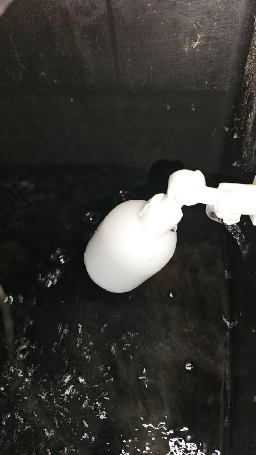 Blueberry Muffin 2026. Week 4