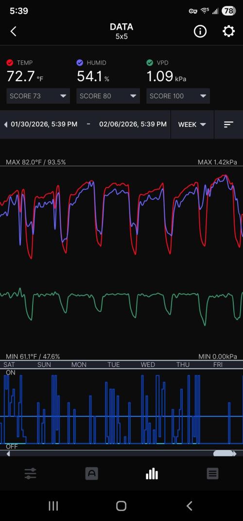Blueberry Muffin 2026. Week 5