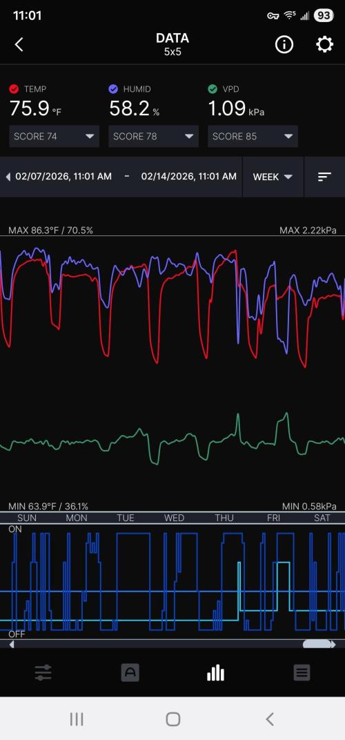 Blueberry Muffin 2026. Week 6
